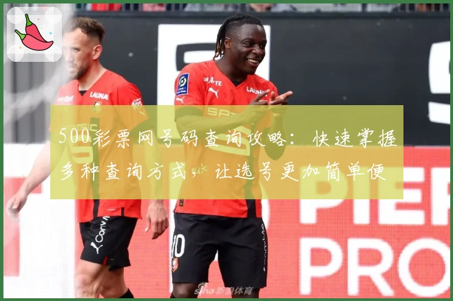 500彩票网号码查询攻略:快速掌握多种查询方式,让选号更加简单便捷