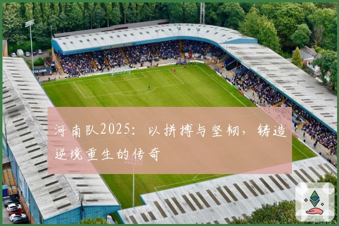 河南队2025：以拼搏与坚韧，铸造逆境重生的传奇