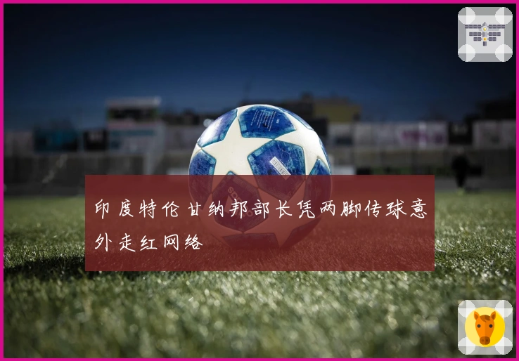 印度特伦甘纳邦部长凭两脚传球意外走红网络