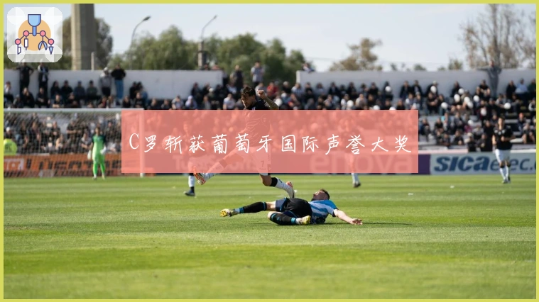 C罗斩获葡萄牙国际声誉大奖