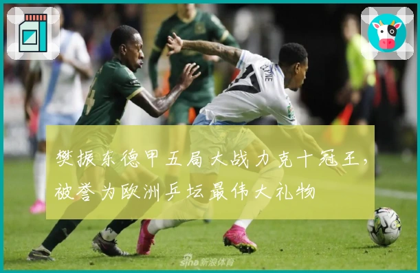 樊振东德甲五局大战力克十冠王，被誉为欧洲乒坛最伟大礼物