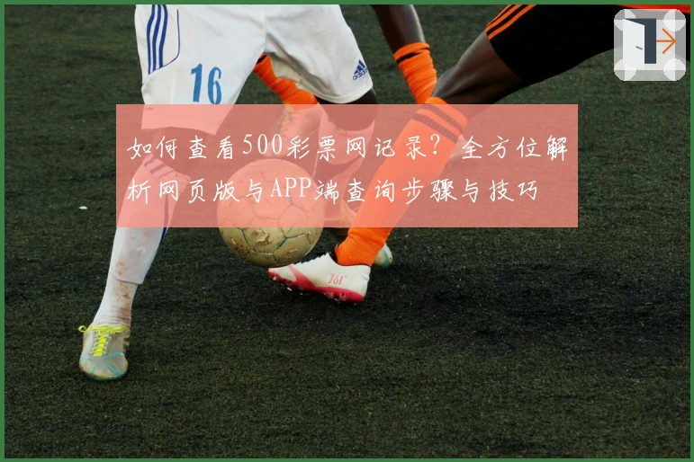 如何查看500彩票网记录？全方位解析网页版与APP端查询步骤与技巧