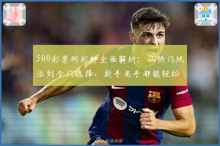 500彩票网彩种全面解析：从热门玩法到冷门选择，新手老手都能轻松上手