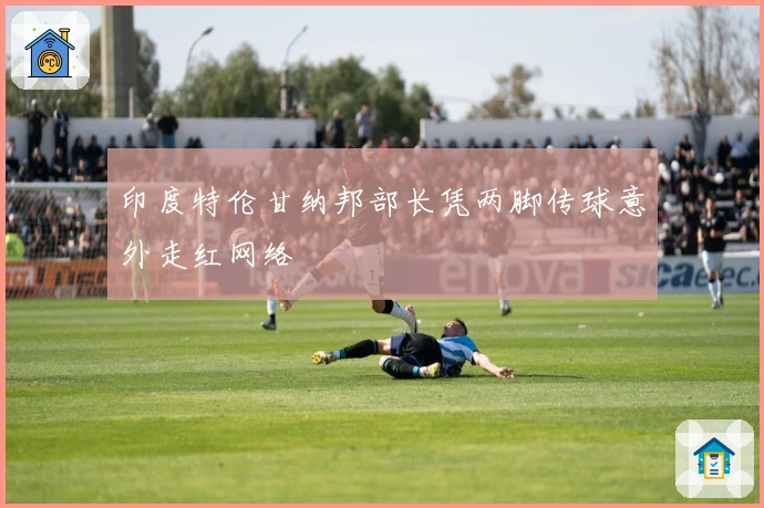 印度特伦甘纳邦部长凭两脚传球意外走红网络